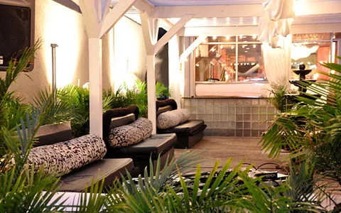 A seating area with plants and lounge chairs.